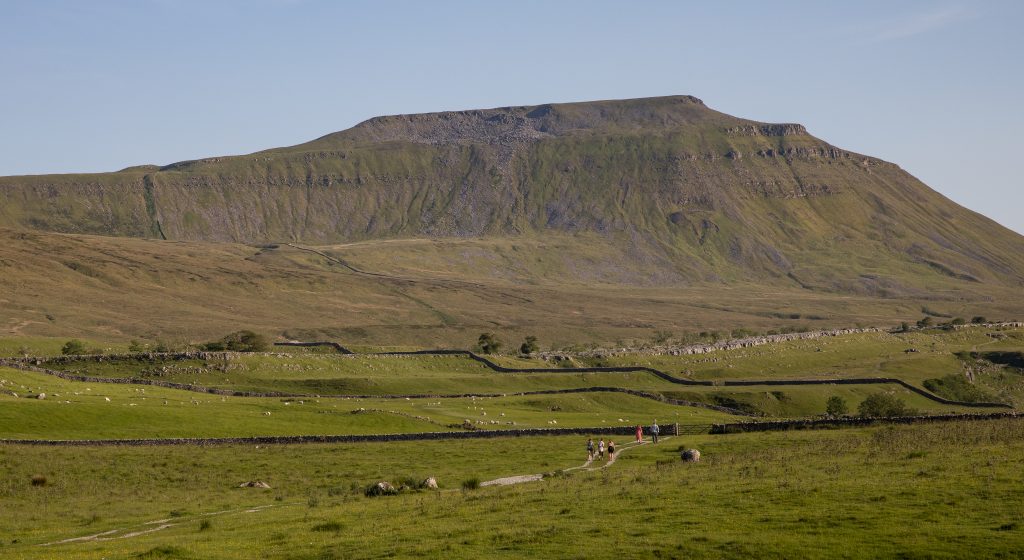 Flat grassy fields and limestone pavements leading to the steep upper slopes of Ingleborough in the Yorkshire Dales.